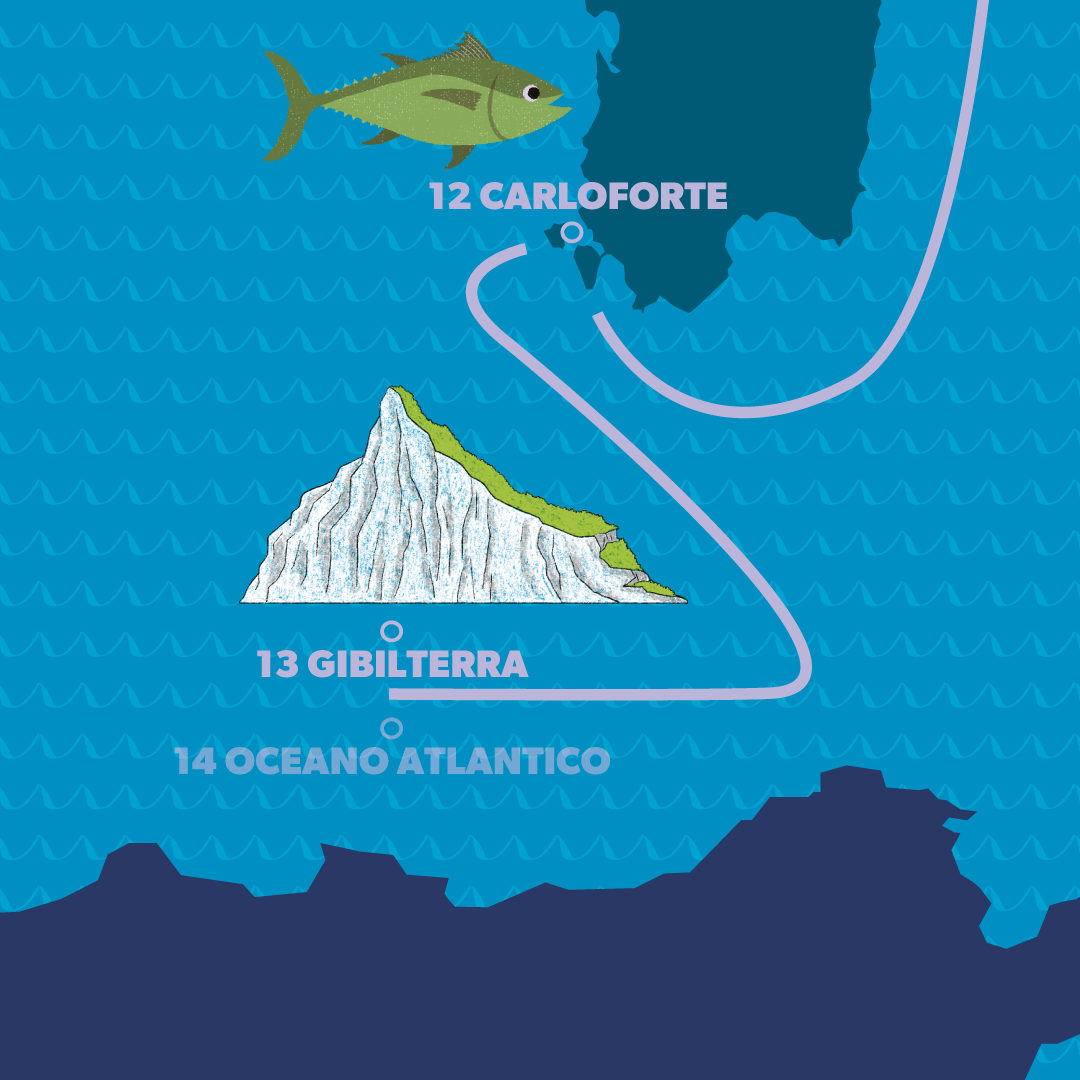 13-gibilterra