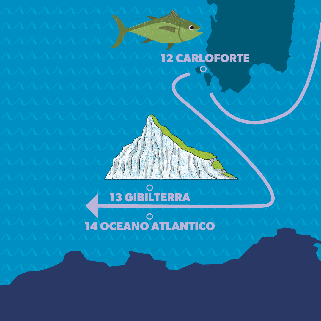 14-atlantico